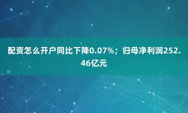 配资怎么开户同比下降0.07%；归母净利润252.46亿元