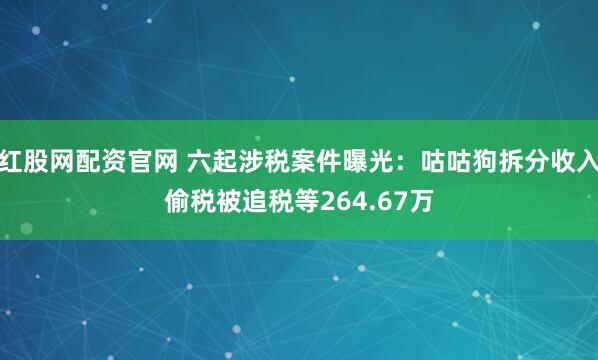 红股网配资官网 六起涉税案件曝光:咕咕狗拆分收入偷税被追税等264.67万